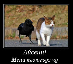 рис. 1